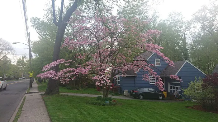 Terhune Park Picture 8