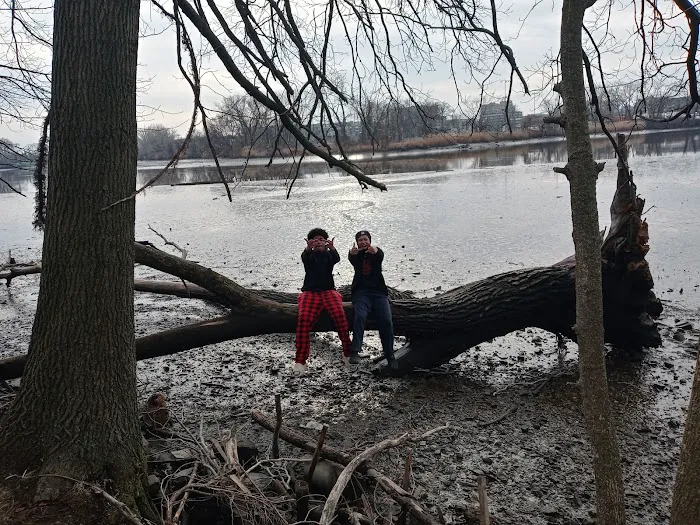 Terhune Park Picture 9