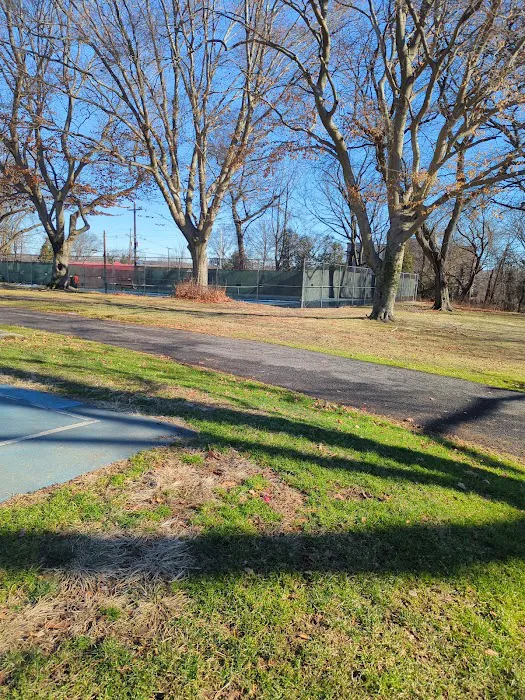 Ammann Park Picture 2