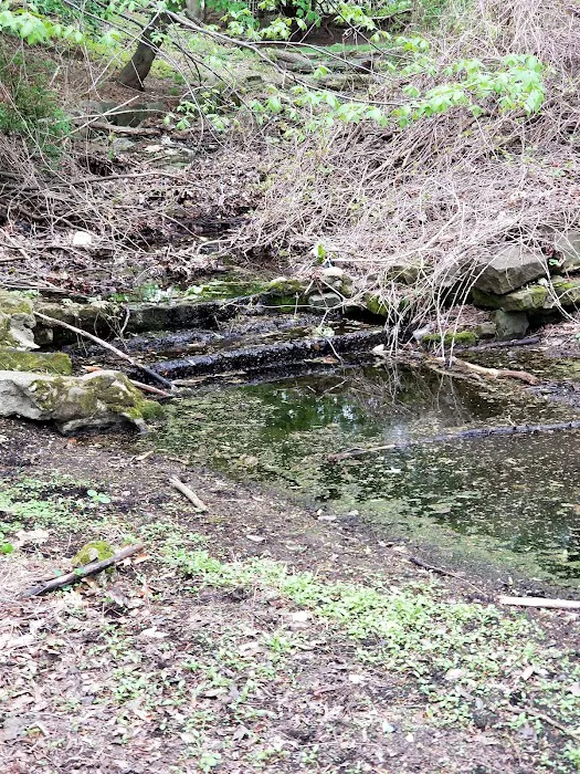 Ammann Park Picture 8