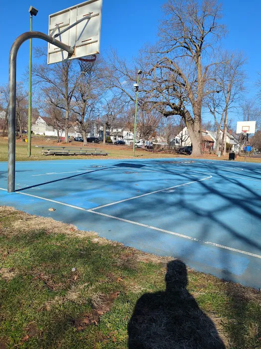 Ammann Park Picture 1
