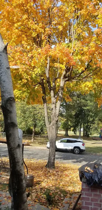 Ammann Park Picture 7