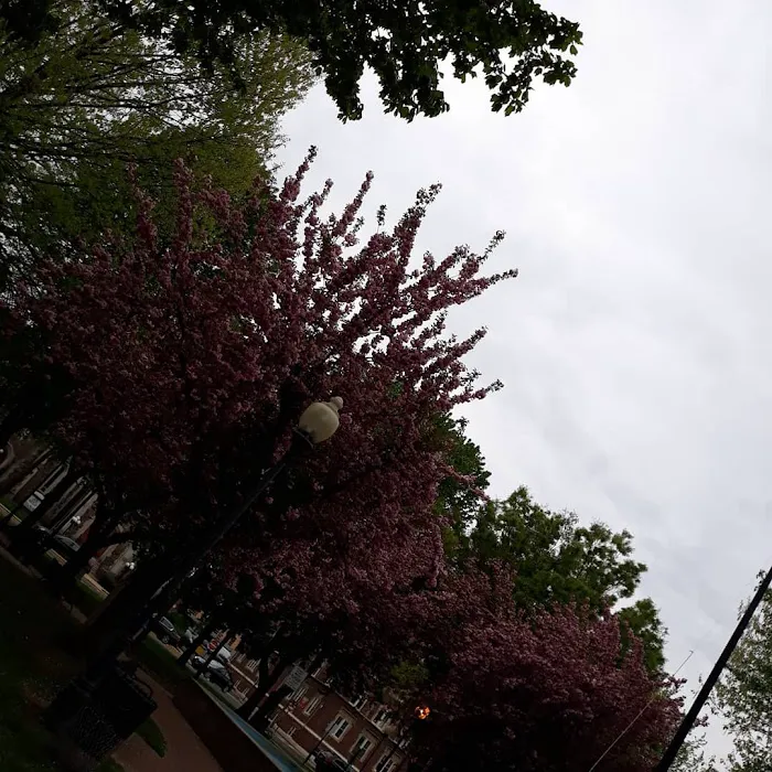 Anderson Park Picture 7