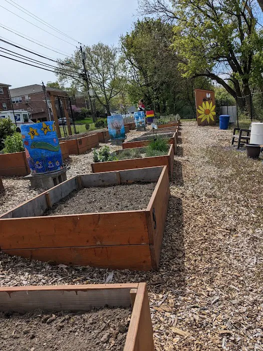 Bogota Community Garden Picture 1