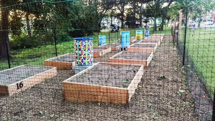 Bogota Community Garden Picture 8