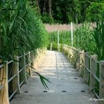 Ridgefield Park Nature Preserve