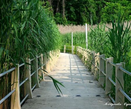 Ridgefield Park Nature Preserve