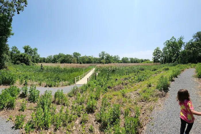 Ridgefield Park Nature Preserve Picture 9