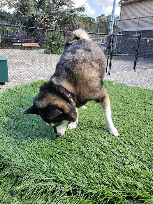 Fort Lee Dog Park Picture 3