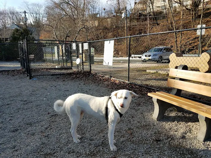 Fort Lee Dog Park Picture 6