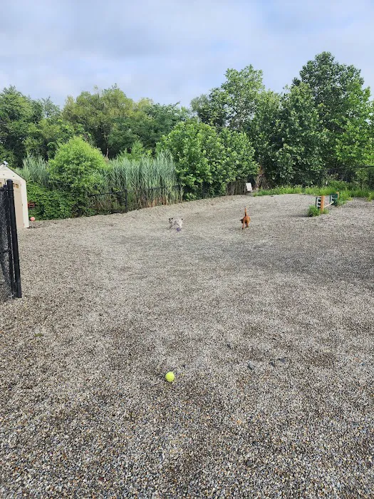 Fort Lee Dog Park Picture 10