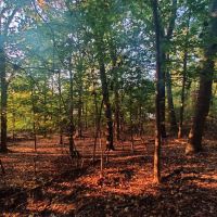 Highwood Hills Park ico