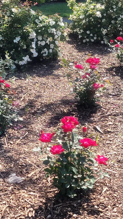 Veteran's Memorial Park Picture 5