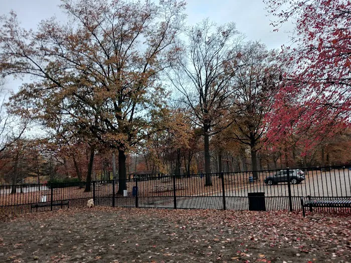 Van Saun Dog Park Picture 6