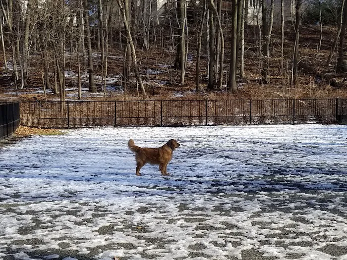 Van Saun Dog Park Picture 1