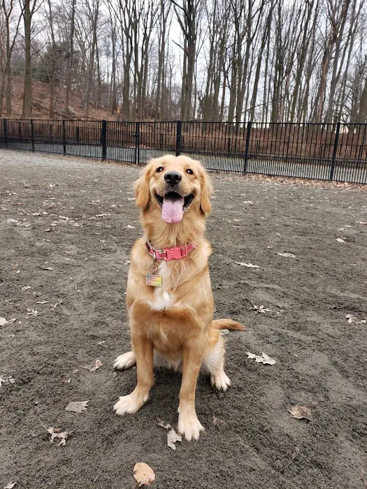 Van Saun Dog Park Picture 10