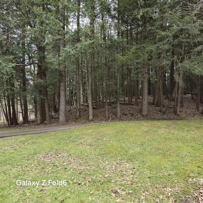 Walden Duck Pond Picture 4