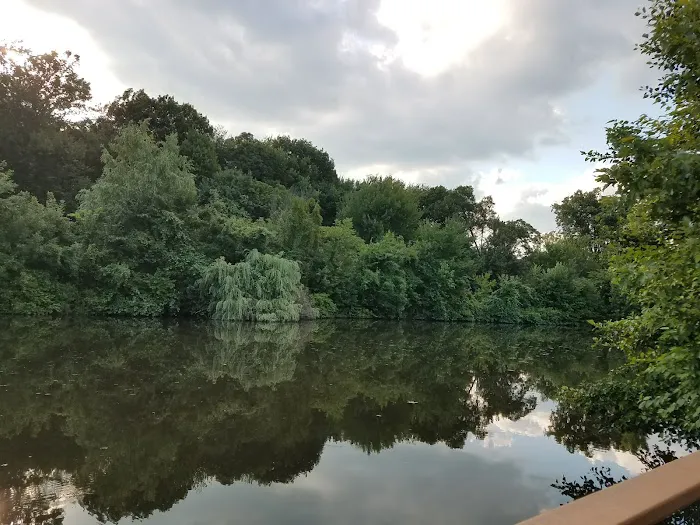 Walden Duck Pond Picture 5