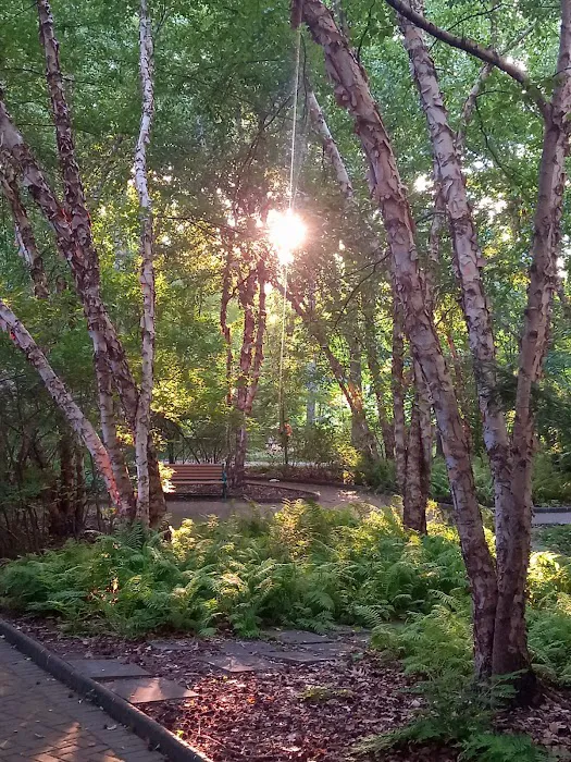Walden Duck Pond Picture 9