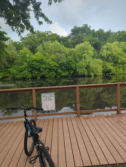 Walden Duck Pond Picture 2