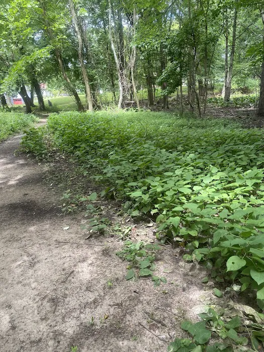 River Edge Bird Sanctuary and Nature Trail Picture 4