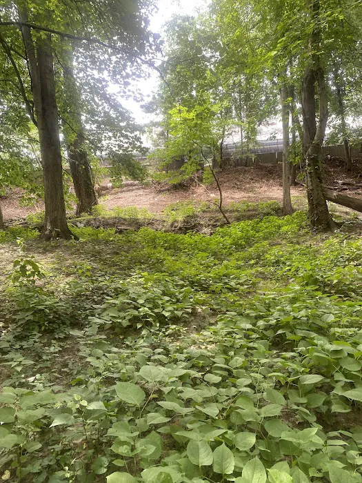River Edge Bird Sanctuary and Nature Trail Picture 6