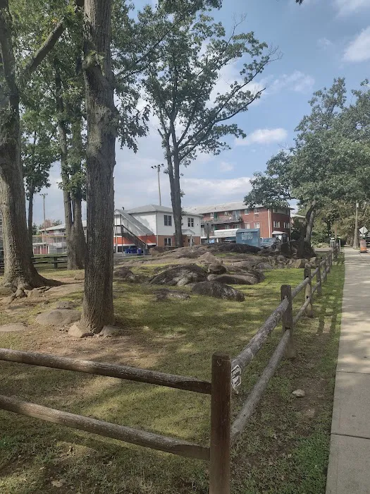 Whitey Lang Memorial Park Picture 1