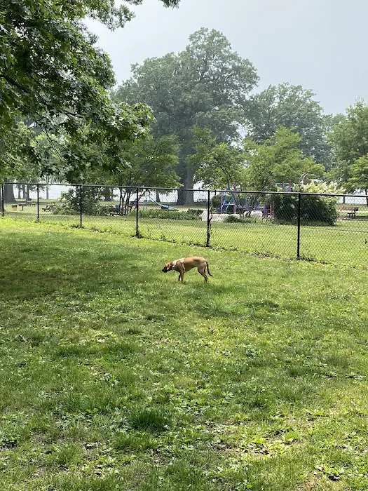 Dog Park Picture 4