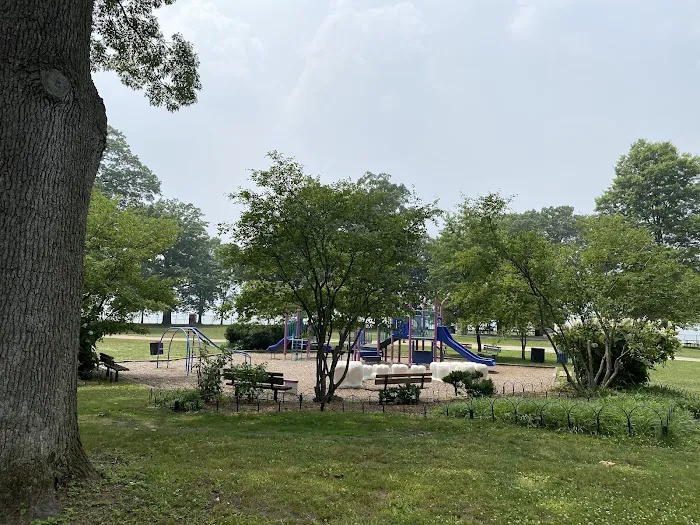 Dog Park Picture 8