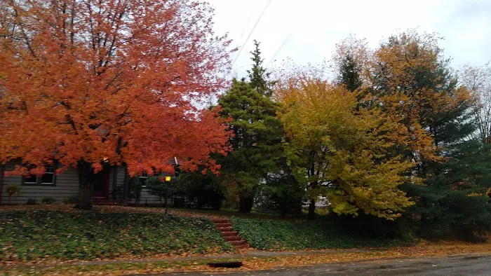 Devries Park Picture 1
