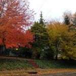 Devries Park
