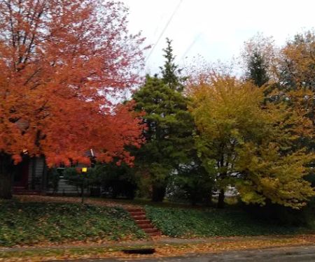 Devries Park