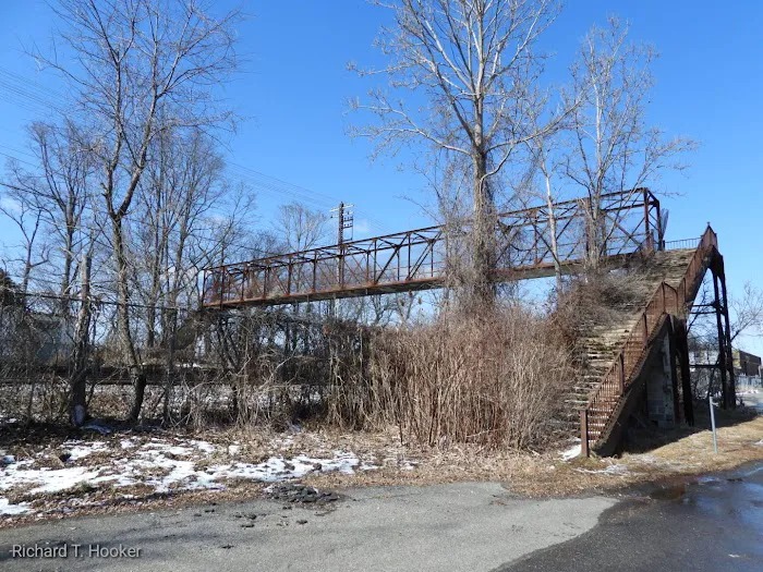 Devries Park Picture 4