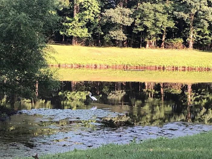 Pondside Park Picture 4
