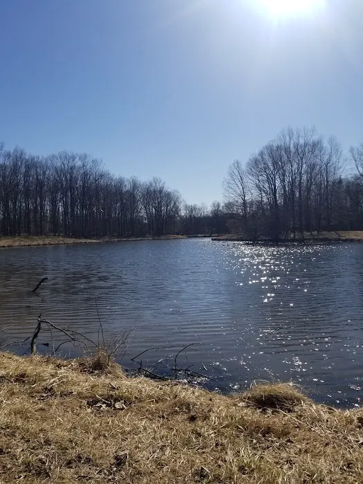 Pondside Park Picture 8