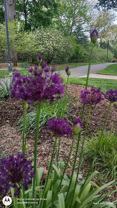 Oakes Park Picture 1