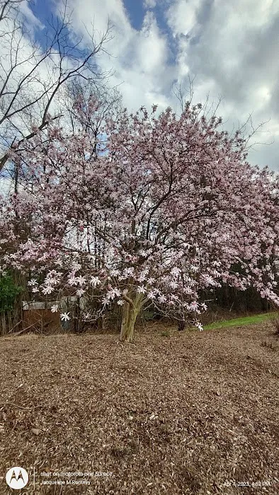 Oakes Park Picture 2