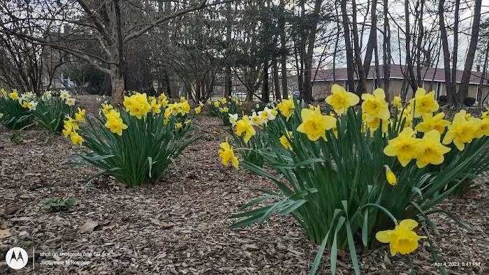 Oakes Park Picture 4