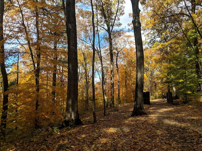 Douglas Park Picture 4