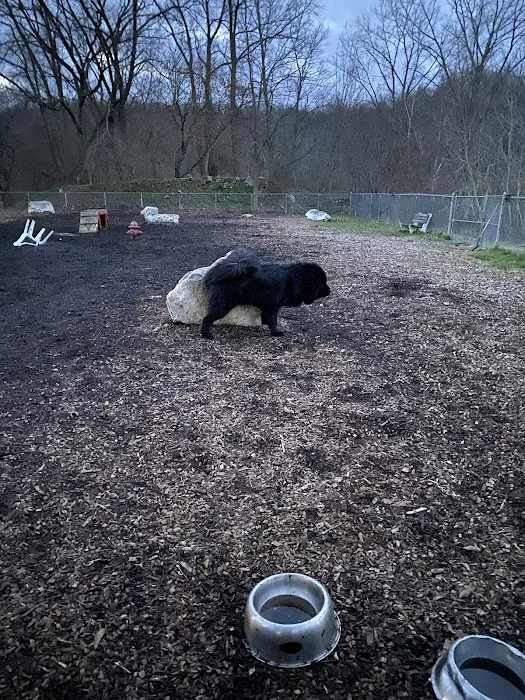 Pleasantville Dog Park Picture 1