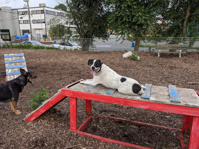 Pleasantville Dog Park Picture 5
