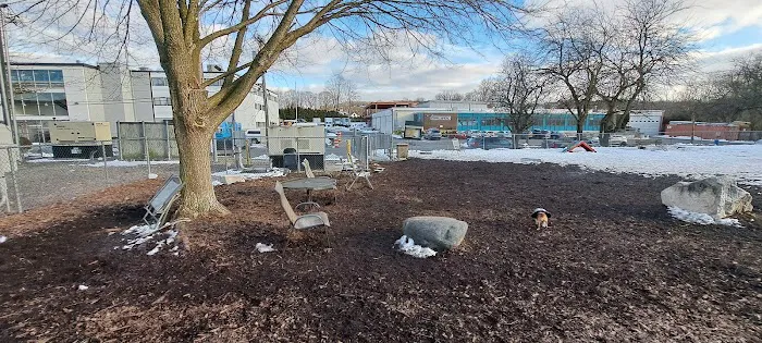 Pleasantville Dog Park Picture 4