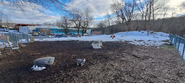 Pleasantville Dog Park Picture 3