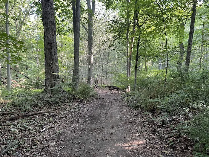 Graham Hills Park Picture 2