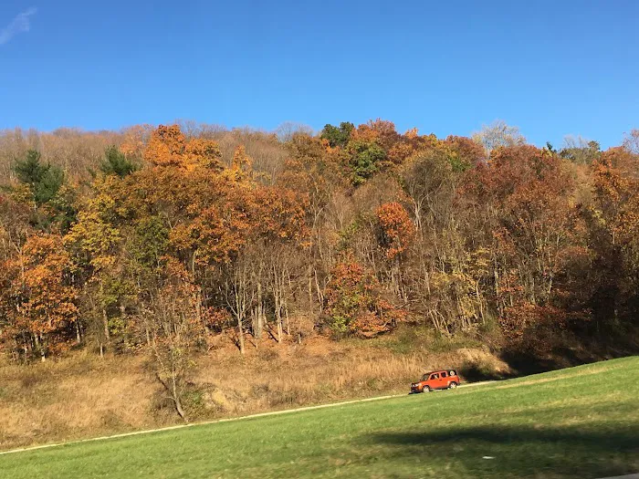 Graham Hills Park Picture 3