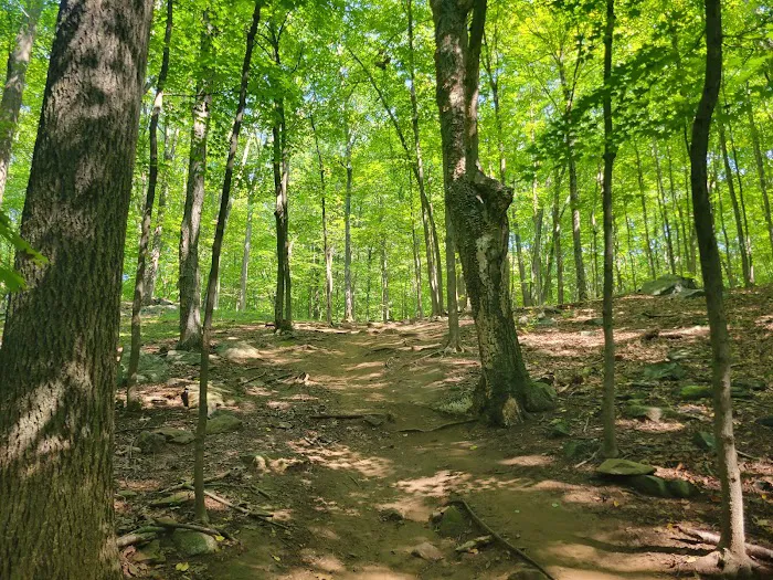 Graham Hills Park Picture 8