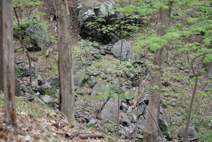 Graham Hills Park Picture 1