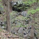 Graham Hills Park