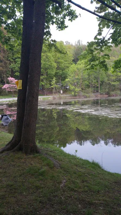 Pleasant Lake Picture 2