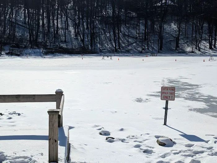 Pleasant Lake Picture 6